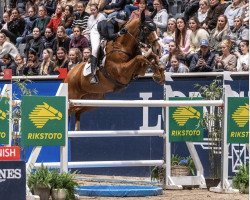 jumper Kito Epleaser van de Tarwescho (Belgian Warmblood, 2010, from Epleaser van het Heike)