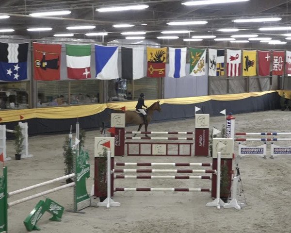 Reitturnier Erlen 2024