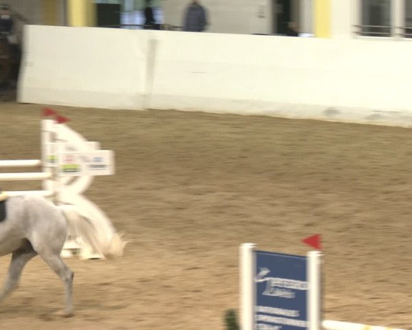 Reitturnier Stadl-Paura 2024