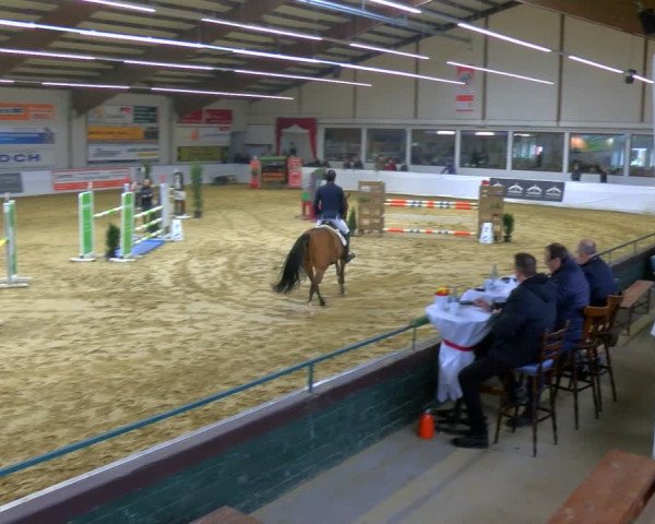 Reitturnier Borken 2024