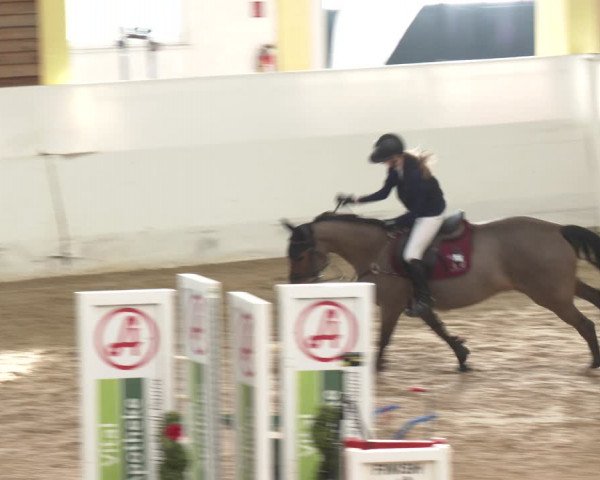 Reitturnier Stadl-Paura 2024
