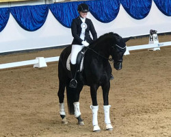 dressage horse Isidor 65 (German Sport Horse, 2017, from Asgard's Ibiza)