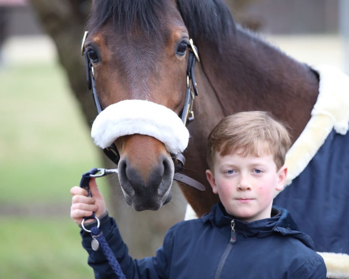 dressage horse Daily De Luxe 2 (German Riding Pony, 2018, from D-Power AT)