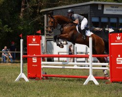 jumper Valentiano (Hanoverian, 2009, from Uccello)