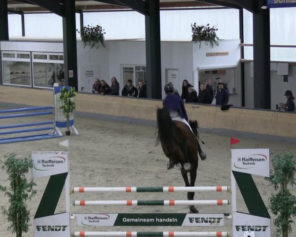 Reitturnier Borken 2024