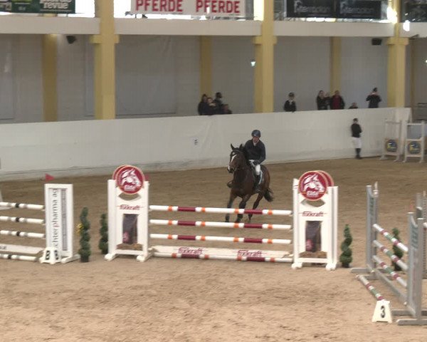 Reitturnier Stadl-Paura 2024
