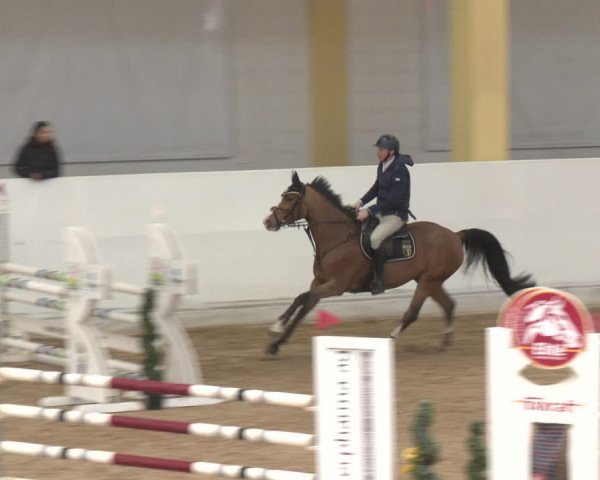Reitturnier Stadl-Paura 2024