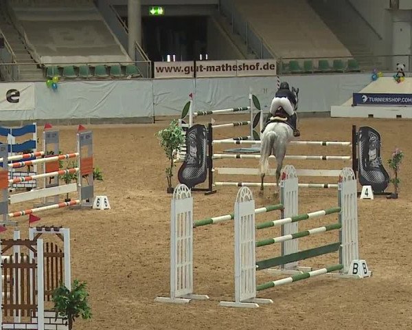 Reitturnier Kreuth/Opf. 2024