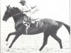 stallion Callio xx (Thoroughbred, 1976, from Lionel xx)