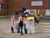 jumper Chicago 219 (German Sport Horse, 2019, from Cornet's Fire Z)