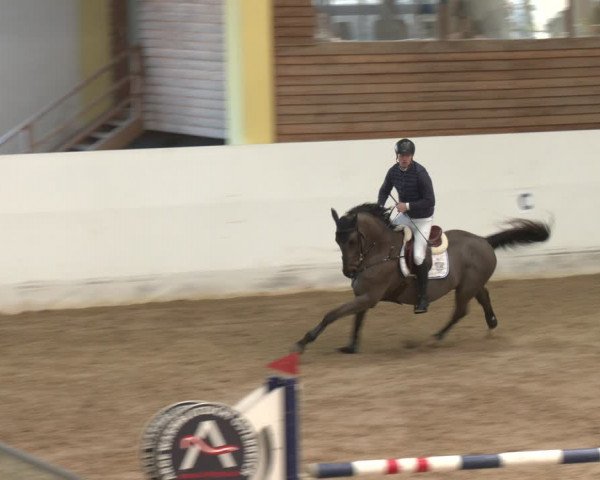 Reitturnier Stadl-Paura 2024