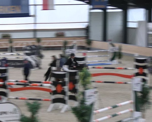Reitturnier Borken 2024