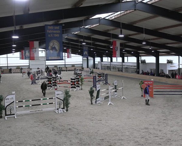 Reitturnier Borken 2024