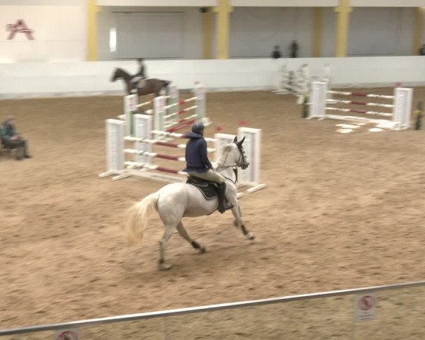 Reitturnier Stadl-Paura 2024