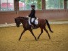 dressage horse Dante Forte (German Riding Pony, 2018, from D-Power AT)