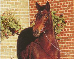 broodmare Die Loewin (Hanoverian, 1969, from Der Löwe xx)