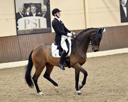 dressage horse First Claas 6 (Westphalian, 2007, from Florestan I)