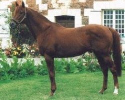 stallion Mansonnien xx (Thoroughbred, 1984, from Tip Moss xx)