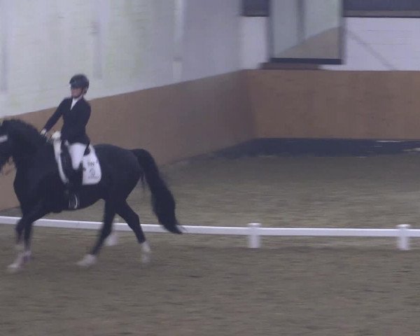 Reitturnier Datteln 2024