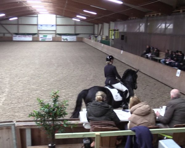 Reitturnier Hesel 2024