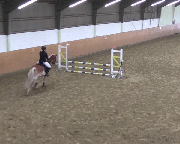 Reitturnier Datteln 2024
