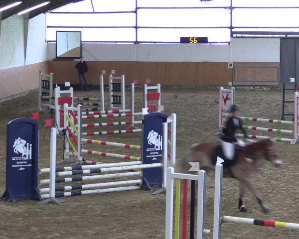 Reitturnier Datteln 2024