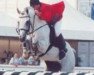 stallion Lucky Luke (Holsteiner, 1986, from Lacapo)