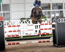 jumper Stoline Pwr (Hanoverian, 2011, from Stolzenberg)