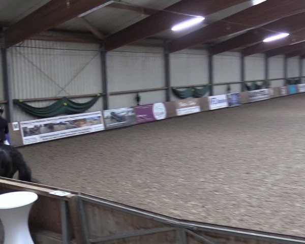 Reitturnier Hesel 2024