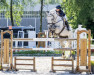 jumper Nanra (Danish Warmblood, 2006, from Corratus)