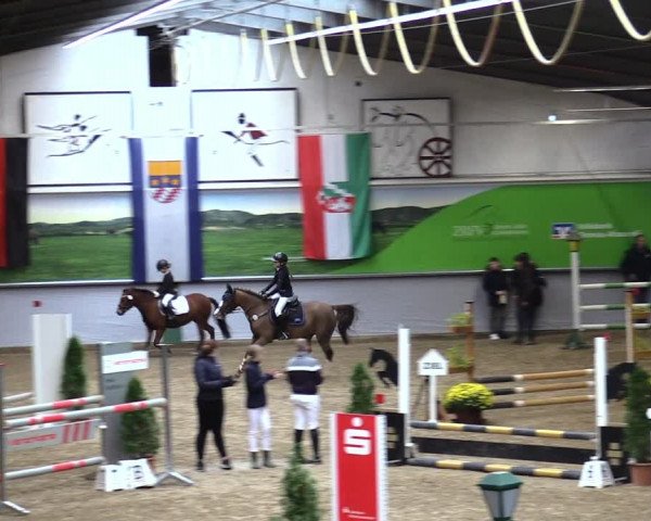 23. Legdener Ponymeeting 2021
