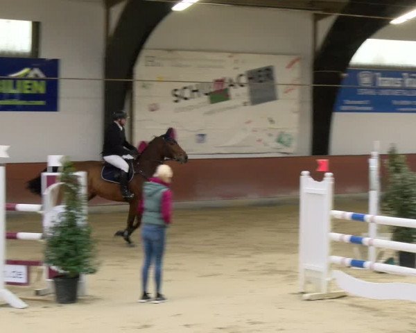 Reitturnier Viernheim 2024