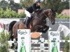 jumper Comme Il Beau 2 (Hanoverian, 2016, from Comme il Faut)