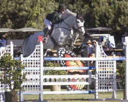 jumper Herslev Marks Cornado (Danish Warmblood, 2006, from Coronado I)