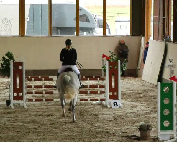 Reitturnier Fleesensee Classic´s 2024