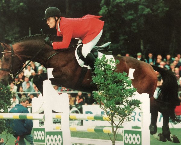 jumper Anchorman (Oldenburg, 1996, from Argentinus)