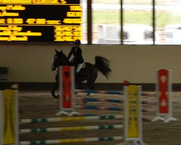 Reitturnier Fleesensee Classic´s 2024