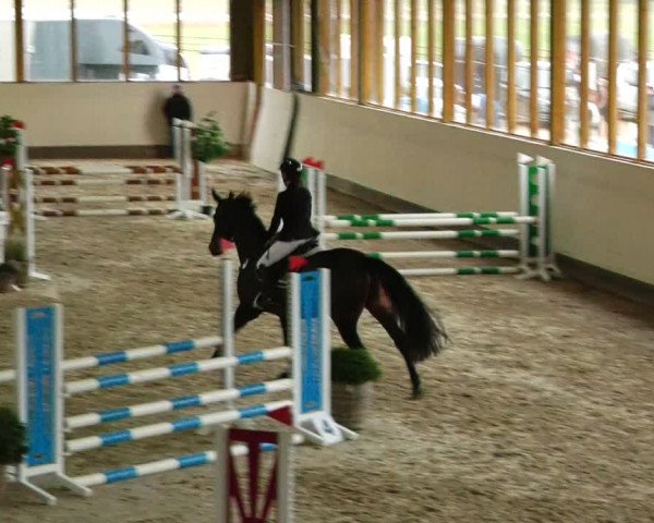 Reitturnier Fleesensee Classic´s 2024
