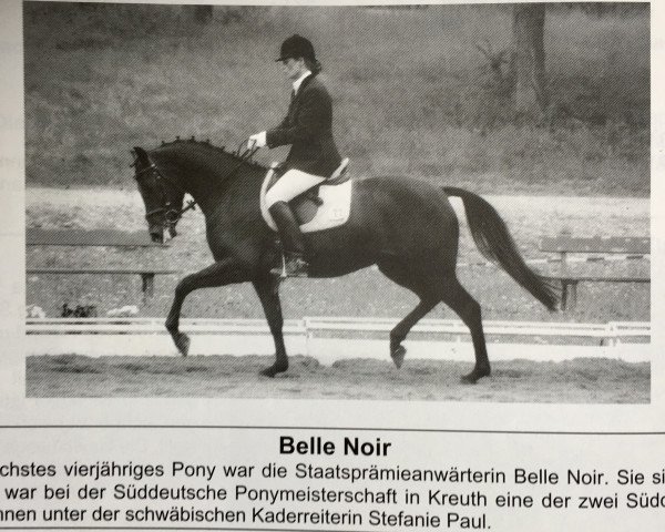 Zuchtstute Belle Noir (Deutsches Reitpony, 1998, von De Merel´s Demis)