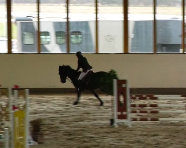 Reitturnier Fleesensee Classic´s 2024