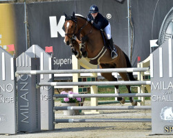 jumper Chactus (Oldenburg show jumper, 2007, from Chacco-Blue)