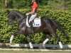 dressage horse Take That 7 (KWPN (Royal Dutch Sporthorse), 2015, from Glock's Toto Jr.)