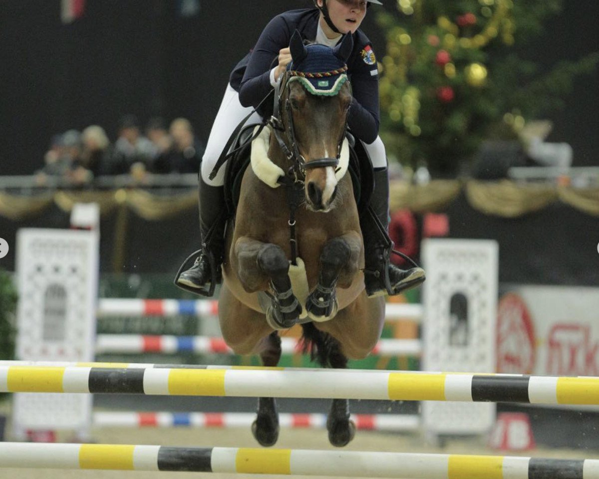 jumper For President B (German Riding Pony, 2006, from For Kids Only)