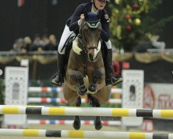 jumper For President B (German Riding Pony, 2006, from For Kids Only)