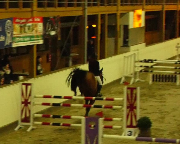 Reitturnier Fleesensee Classic´s 2024