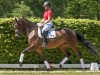 dressage horse Macarena (Westphalian, 2016, from E.H. Millennium)