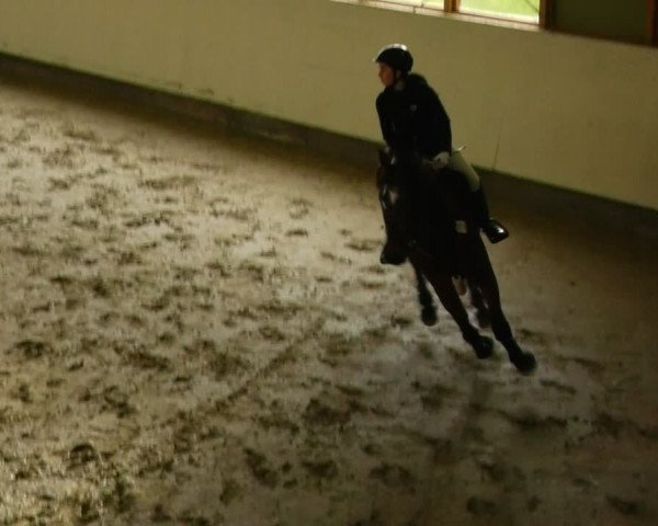 Reitturnier Fleesensee Classic´s 2024