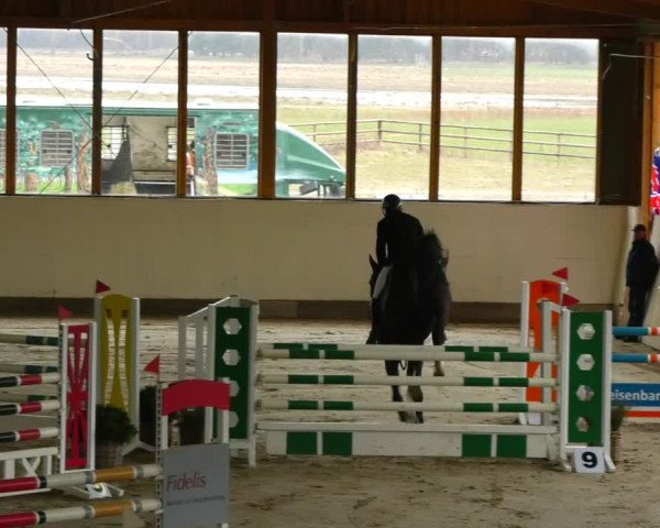 Reitturnier Fleesensee Classic´s 2024