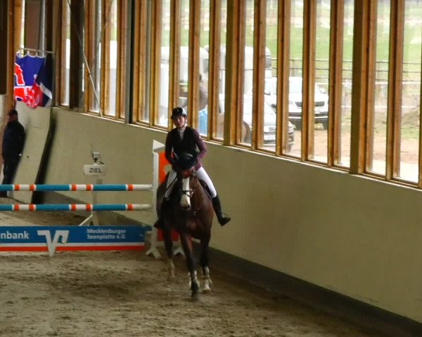 Reitturnier Fleesensee Classic´s 2024