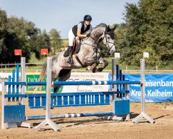 jumper Kokobantos (KWPN (Royal Dutch Sporthorse), 2015, from Cornet's Diamond SN)